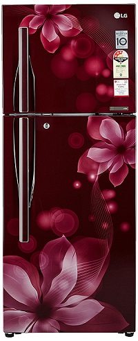 LG 260 L 3 Star Frost-Free Double Door Refrigerator