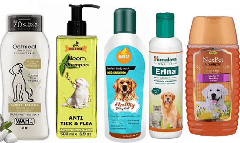 10 Best Dog Shampoos in India