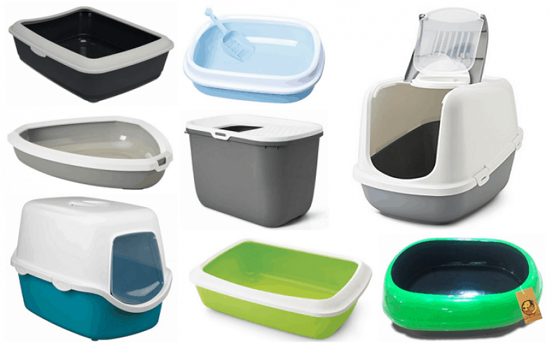 10 Best Cat Litter Box & Trays in India 2024